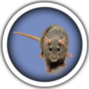 rodent Icon