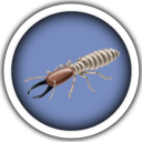 termite Control Icon
